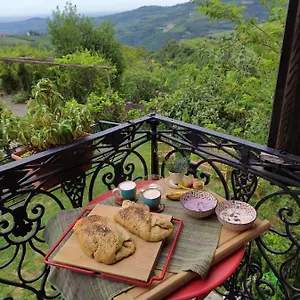 Bed & Breakfast La Collina Olistica Tregnago